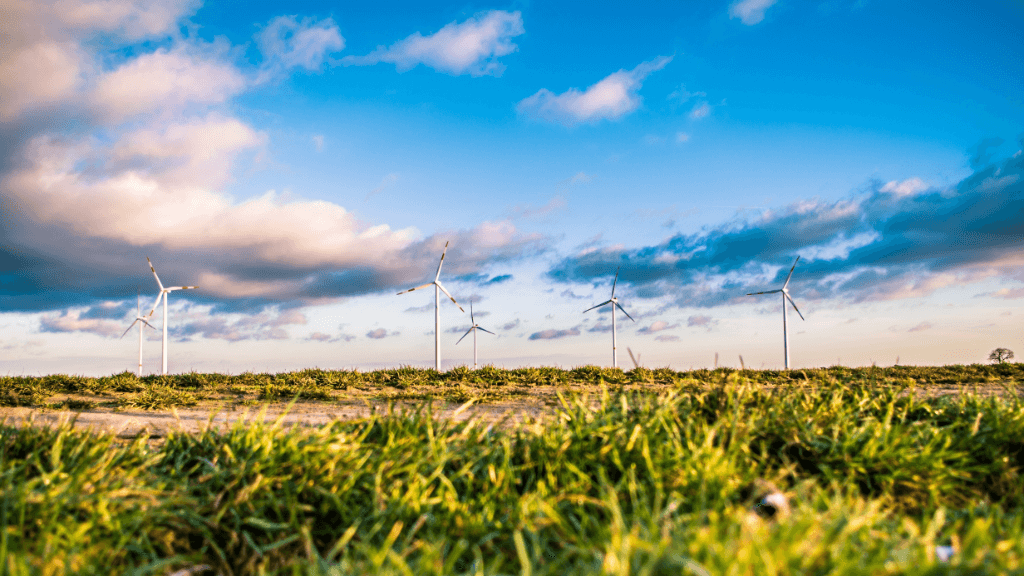 windmolens natuur milieu groene stroom klimaatverandering duurzaamheid